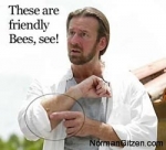 friendly-bees