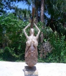 cimg0881