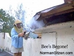 bees-be-gone